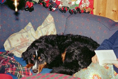 Shika Julen 2002 - Godplassen