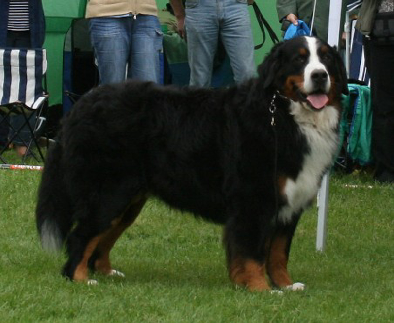 20070811_ozzy_2