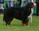 20070811_ozzy