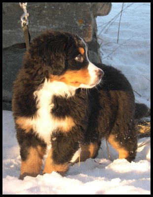 Oona Mi Amore - Oona